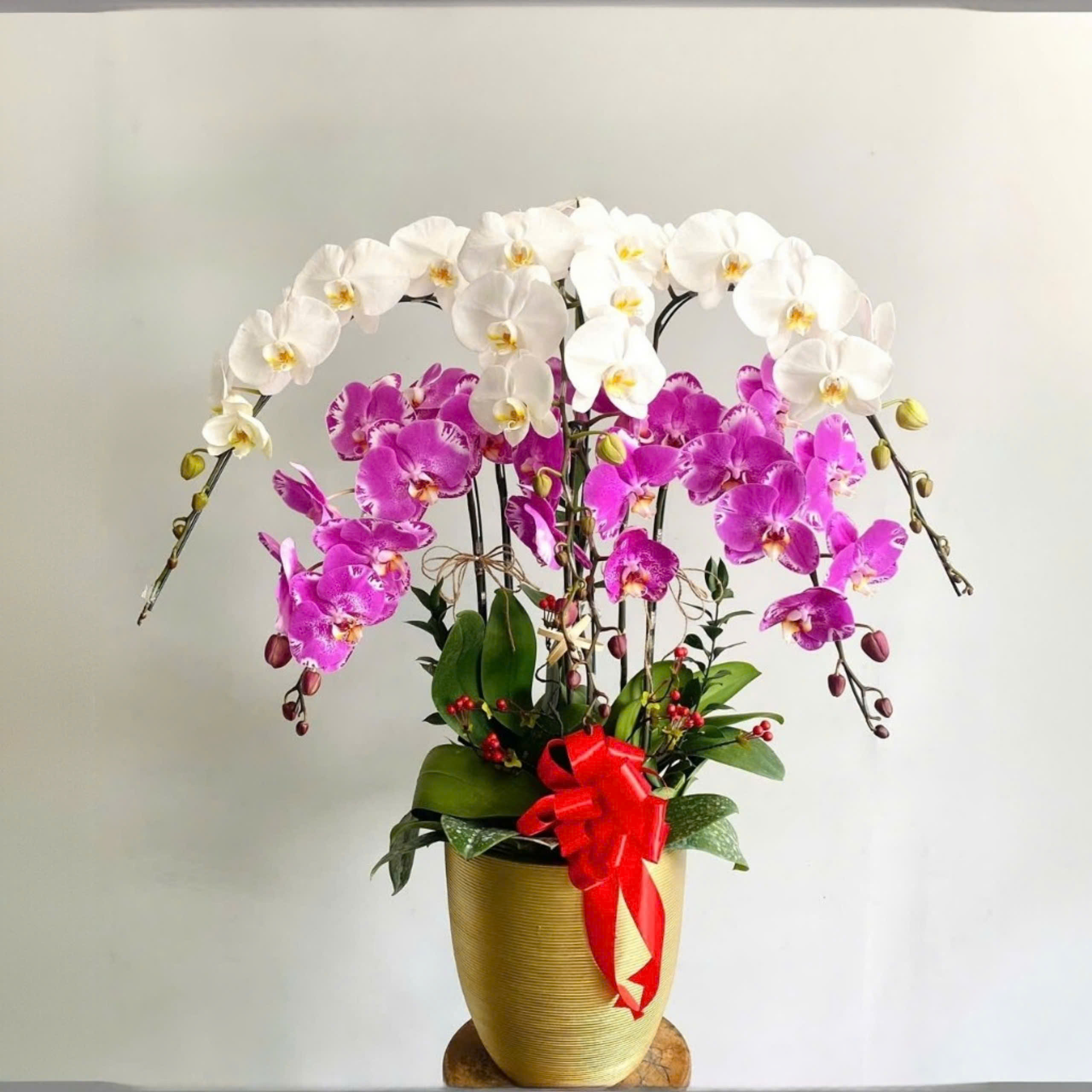 Lan hồ điệp 6 cành mix 2 màu - LF121